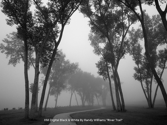 HM Digital B&W By Randy Williams - "River Trail"