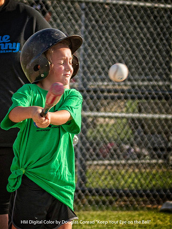 HM Digital Color By Douglas Conrad - "Keep Your Eye on the Ball"