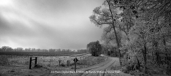 3rd Place Digital B&W By Randy Williams - "Snow Trail"