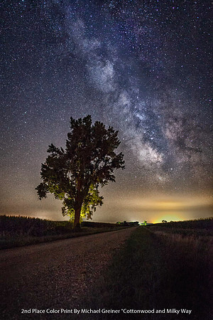 2nd Place Color Print By Michael Greiner - "Cottonwood and Milky Way"