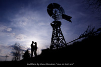 2ND PLACE BY SHANE MONAHAN, "LOVE ON THE FARM"