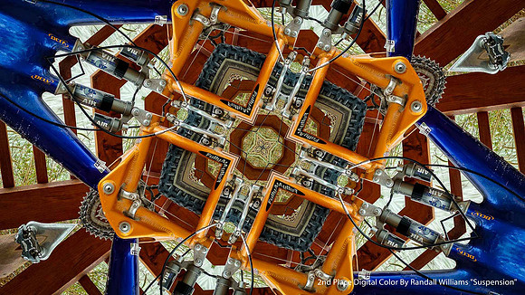 2nd Place Digital Color By Randall Williams "Suspension"