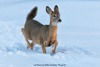 1ST PLACE BY MIKE GRIENER, "PRANCER"