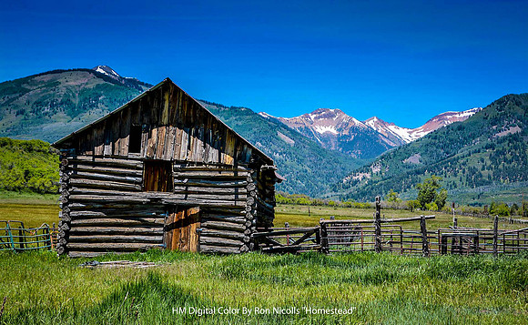 HM Digital Color By Ron Nicolls "Homestead"