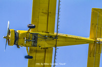HM BY MIKE GRIENER, "DUCK"