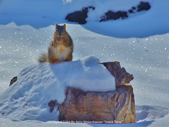 HM Digital Color By Jerry Weiershauser "Snack Time"