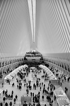 HM Digital B&W By Robert Gillespie "Oculus"