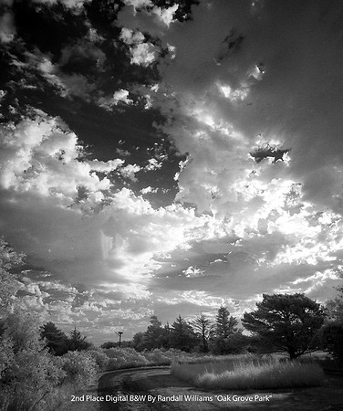 2nd Place Digital B&W By Randall Williams "Oak Grove Park"