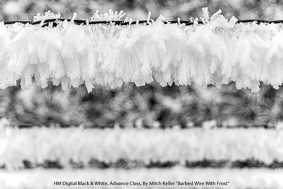 HM Digital B&W Advance Class By Mitch Keller - "Barbed Wire With Frost"