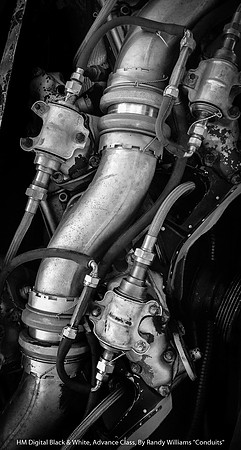 HM Digital B&W Advance Class By Randy Williams - "Conduits"