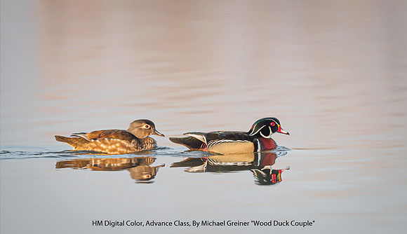 HM Digital Color Advance Class By Michael Greiner - "Wood Duck Couple"