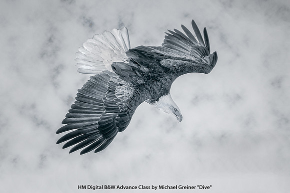 HM Digital B&W Advance Class by Michael Greiner - "Dive"