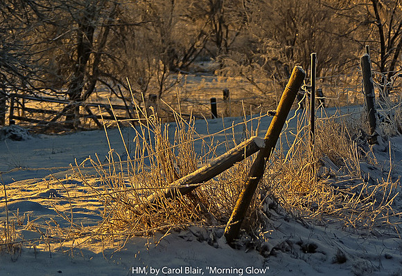 HM, BY CAROL BLAIR, "MORNING GLOW"