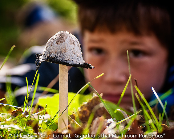 1ST PLACE, BY DOUG CONRAD, "GRANDPA IS THAT MUSHROOM POISONOUS"