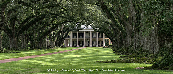 "Oak Alley in October" By Paula Warp - Open Class Color Print of the Year