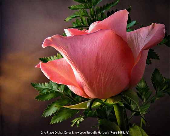 2nd Place Digital Color Entry Level by Julia Harbeck - Rose Still Life.jpg