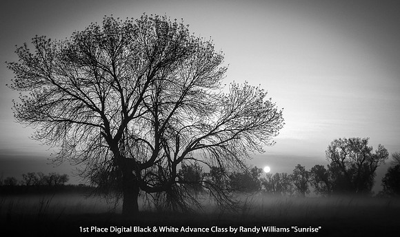1st Place Digital B&W Advance Class by Randy Williams - Sunrise.jpg