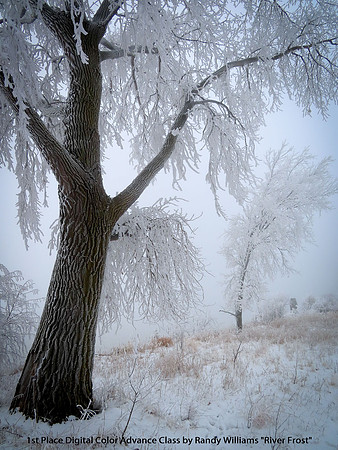 1st Place Digital Color by Advance Class by Randy Williams - River Frost.jpg