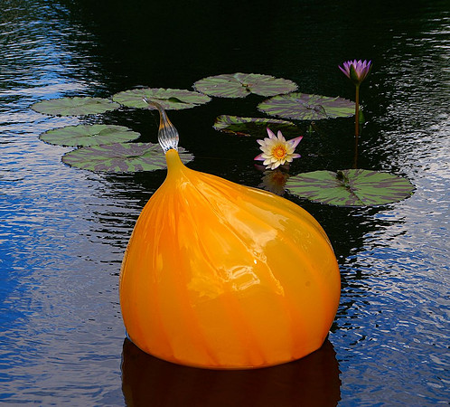 1st, Paula Warp, Orange Globe
