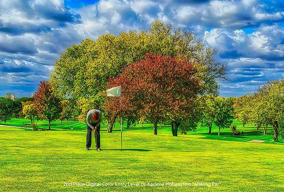 2nd Place Digital Color Entry Level by Karlene Hohenstein - Making Par