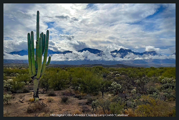 HM Digital Color Advance Class by Larry Crabb - Catalinas.jpg