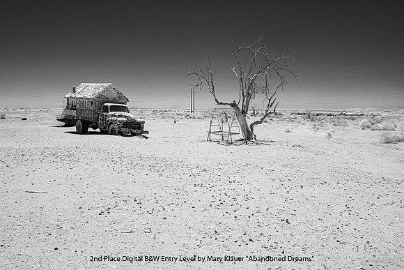 2nd Place Digital B and W Entry Level by Mary Klauer - Abandoned Dreams