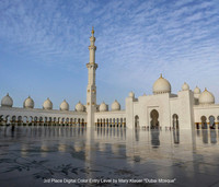 3rd Place Digital Color Entry Level by Mary Klauer - Dubai Mosque