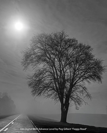 HM Digital B&W Advance Level by Peg Gilbert - Foggy Road.jpg