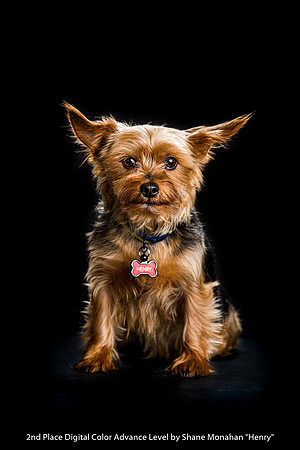 2nd Place Digital Color Advance Level by Shane Monahan - Henry