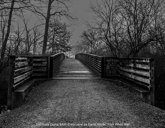 2nd Place Digital B&W Entry Level by David Hovde - Slick When Wet