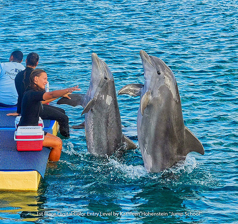 1st Place Digital Color Entry Level by Kathleen Hohenstein - Jump School