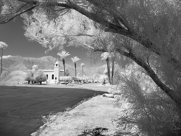 2nd Place Digital B&W Entry Level by Mary Klauer - Desert Oasis